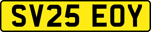 SV25EOY