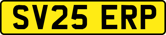 SV25ERP