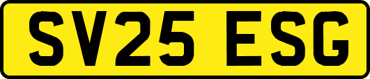 SV25ESG