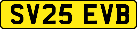 SV25EVB
