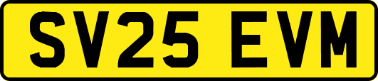 SV25EVM