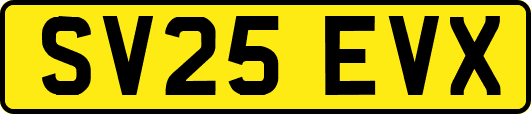 SV25EVX