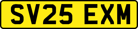 SV25EXM