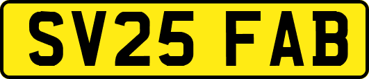 SV25FAB