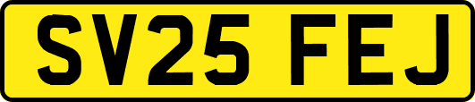 SV25FEJ
