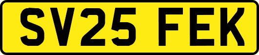 SV25FEK