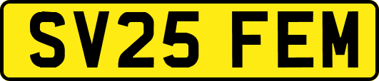 SV25FEM