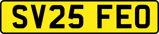 SV25FEO