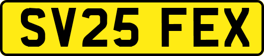 SV25FEX