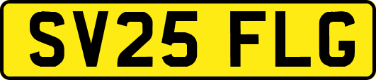 SV25FLG
