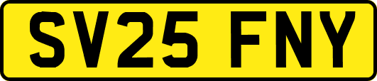 SV25FNY