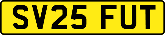 SV25FUT