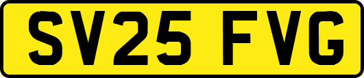 SV25FVG