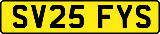 SV25FYS