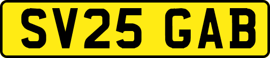 SV25GAB
