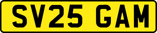 SV25GAM