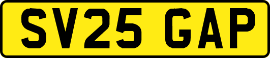 SV25GAP