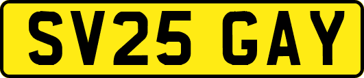 SV25GAY