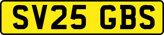 SV25GBS