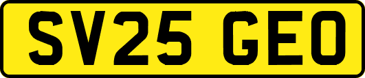 SV25GEO