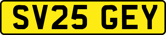 SV25GEY