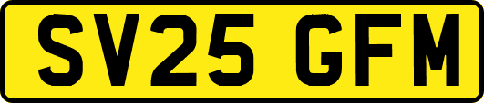 SV25GFM