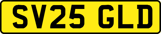 SV25GLD