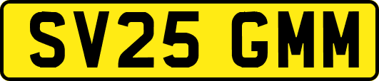 SV25GMM