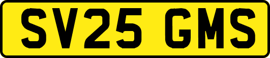 SV25GMS