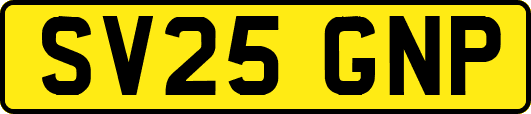 SV25GNP