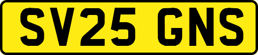 SV25GNS