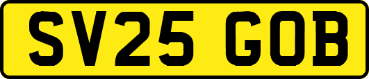 SV25GOB