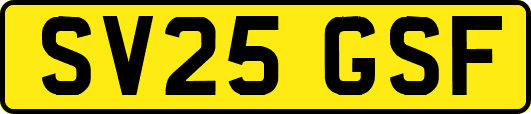 SV25GSF