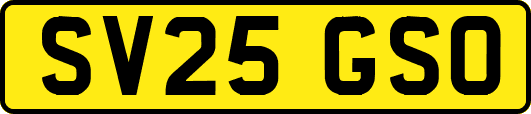SV25GSO