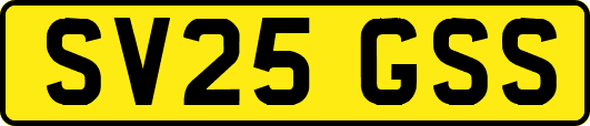 SV25GSS