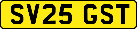 SV25GST