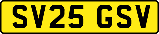 SV25GSV