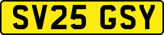 SV25GSY