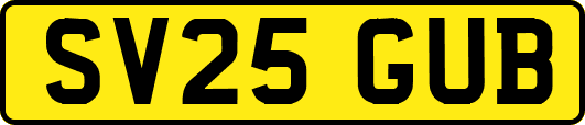 SV25GUB