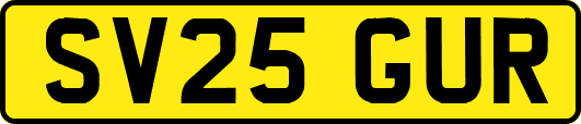 SV25GUR