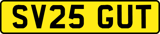 SV25GUT