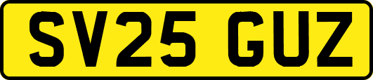 SV25GUZ