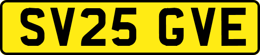 SV25GVE