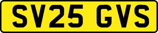 SV25GVS