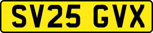 SV25GVX