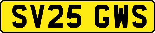 SV25GWS