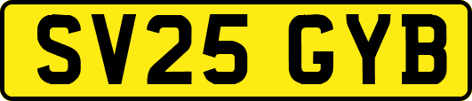 SV25GYB