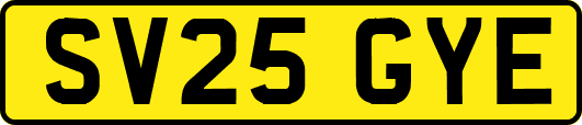 SV25GYE