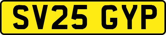 SV25GYP