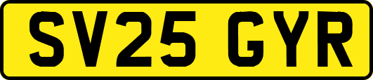 SV25GYR